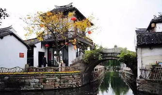 胡明华的艺术人生：从江南水乡到国际舞台的成长与成就