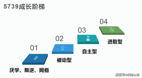 蔡玲玲：从经济学研究到企业咨询，如何实现理论与实践的完美结合