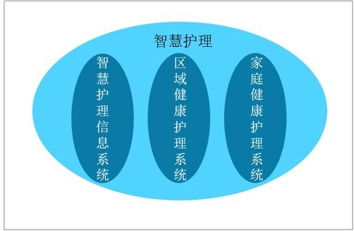 李计忠六爻占卜：轻松掌握易学智慧，解决生活决策难题