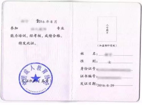 汉语教师资格证报考指南：轻松获取国际通行证，开启高薪汉语教学之路
