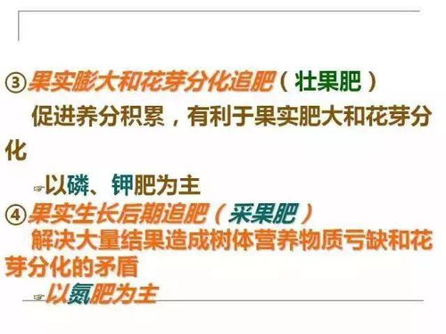 营养保健师报考条件与职业发展全解析：轻松掌握报考要求与高薪就业路径