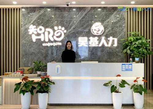 上海中智：一站式人力资源解决方案，高效解决企业招聘、人事代理与员工管理难题