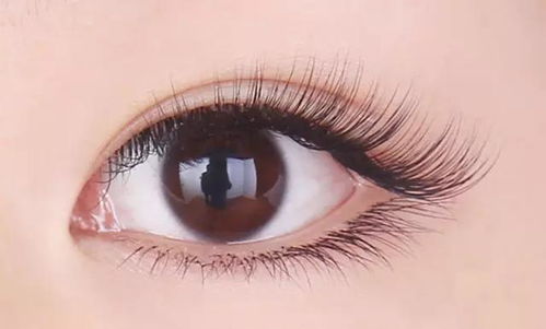 假睫毛怎么卸？掌握正确方法保护睫毛不伤眼，轻松卸除无残留