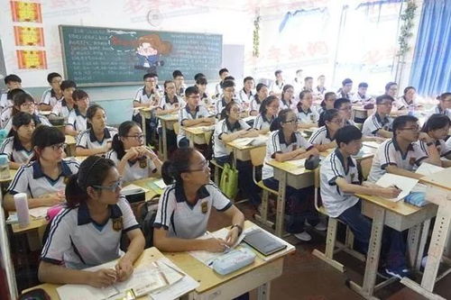 青岛学校选择指南：从排名到入学条件，轻松为孩子找到最适合的成长土壤