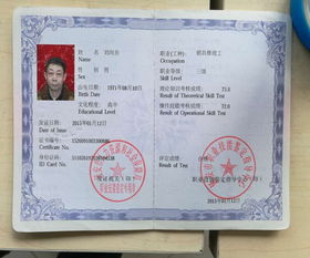 挖机培训全攻略：省钱省时快速拿证，轻松开启高薪职业