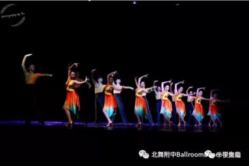 港龙舞蹈课程全解析：零基础到专业舞者的便捷进阶之路