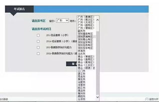 5184广东自考网：一站式解决报名、查分、备考难题，让自考更轻松高效