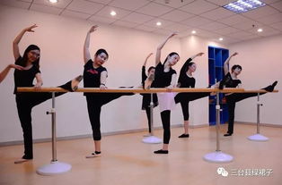 舞蹈培训中心：释放压力、塑造形体、找回青春活力的快乐选择