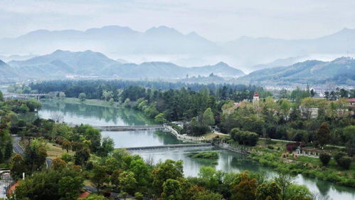 黄清：从江南水乡到国际舞台，新水墨艺术如何让生活更美好