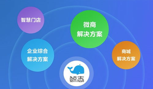 企业管理理念：从初创混沌到卓越体系的成长密码，解决效率与文化难题