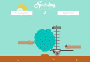 影视动漫行业全解析：从创作到市场的完整指南，带你轻松掌握最新趋势与热门作品