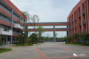 无锡江南中学：百年名校的求学指南与校园生活全解析