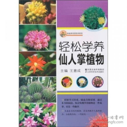 黄蕊植物全解析：从生物学特征到养护技巧，轻松打造金色花园