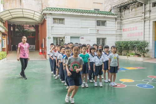 上海洋泾中学：百年名校如何平衡传统与创新，打造个性化教育新体验