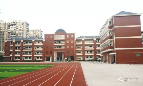 上海洋泾中学：百年名校如何平衡传统与创新，打造个性化教育新体验