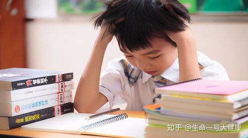 翰林小学：让孩子在优质教育中快乐成长，解决家长择校难题