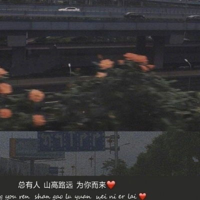 Not only but also的用法全解析：从尴尬错误到地道表达，轻松掌握英语高级句型