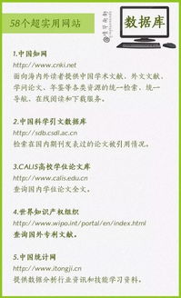 专业教育：精准培养就业竞争力，快速掌握实用技能