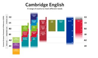百特英语课程体系全解析：从零基础到流利沟通的专属路线图