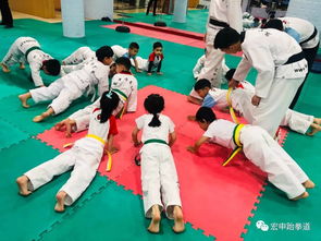 儿童跆拳道训练全攻略：从入门到考级，让孩子在快乐中成长