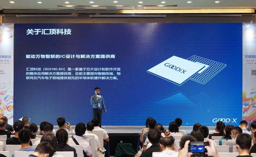 尚阳科技园区探秘：体验科技与人文的完美融合，解决创新与温度平衡难题