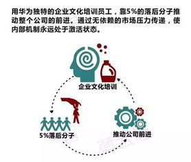 德智教育：全人教育理念解析与课程体系详解，培养德才兼备的未来人才