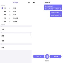 危险英文翻译：精准表达避免商务风险，提升跨国沟通效率