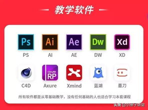 设计师培训：零基础快速转行高薪UI/UX设计师，避开弯路直达就业