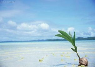 光和青春：点亮青少年心理健康之路，解决青春期困惑与成长烦恼