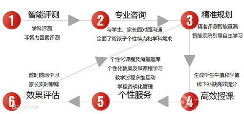 新梦想教育集团：个性化教育激发潜能，定制未来职业发展路径