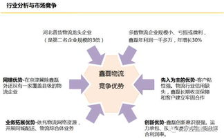 新梦想教育集团：个性化教育激发潜能，定制未来职业发展路径