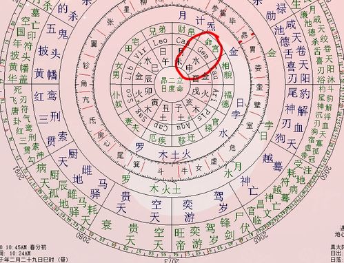 宋绍光八字紫微斗数命理解析：精准预测事业财运婚姻，助你掌握人生密码