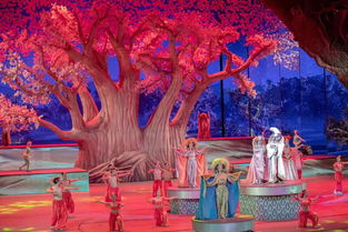 回族舞蹈：千年丝路的文化密码与艺术魅力全解析