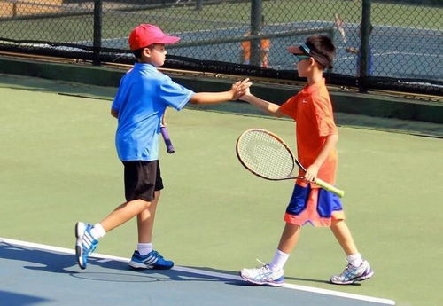 网球俱乐部：从入门到精通，一站式解决您的网球需求与快乐体验