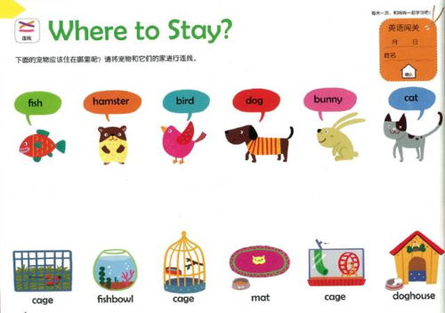 小星星英语：让孩子在快乐游戏中自然掌握英语的完整课程体系