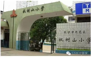 枫树山小学学区划分、招生政策与入学条件全解析，让孩子顺利入学无忧