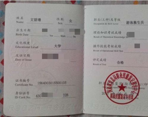 游泳教练证报考指南：轻松掌握考证流程，开启高薪职业大门