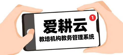 行政管理培训：轻松掌握高效办公技能，告别职场烦恼